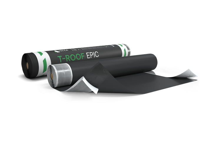 T-Roof Epic